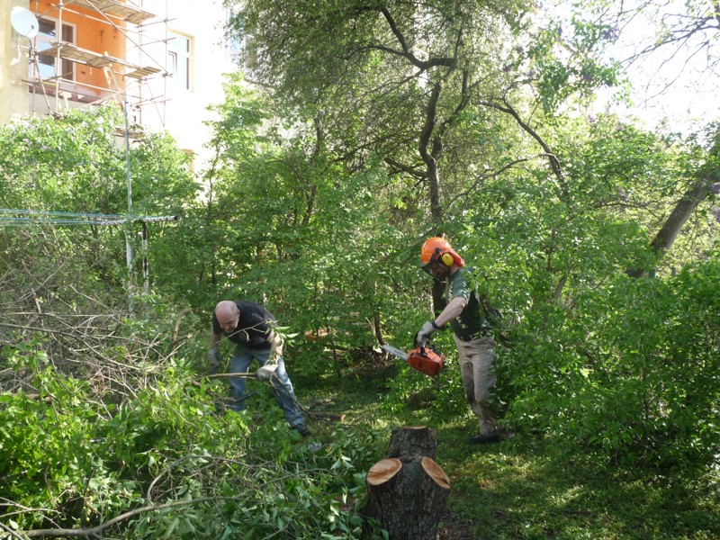 Zahrada SVJ, Praha: Kácení stromů a mýcení křovin